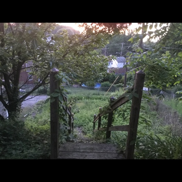 Meet your Posher, Rose - Picture 1 of 1